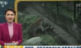 中央12台在线观看,精彩节目一网打尽